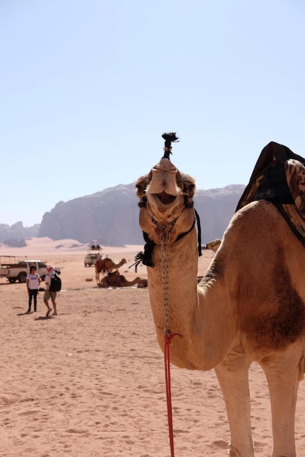 Wadirum Momoo Wadi Rum Exterior foto